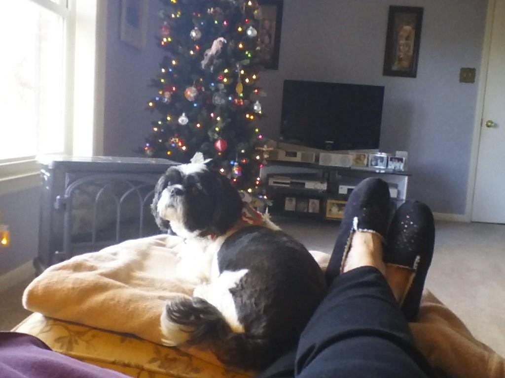 THANKSGIVING with Dudley