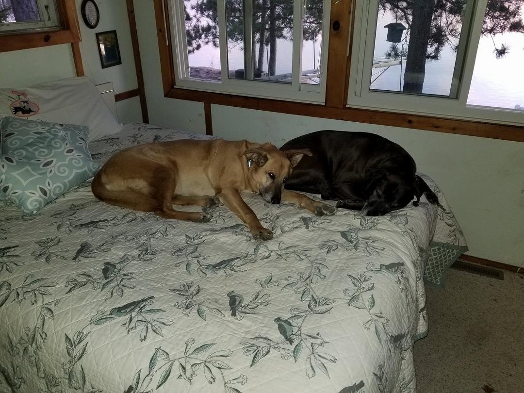The Boys have staked out their territory at the lakw....