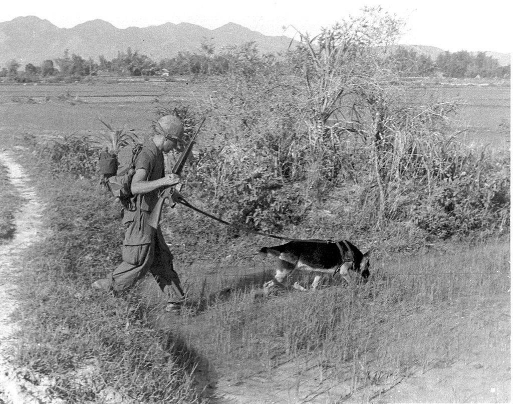 Don Murray's album, DOGS
