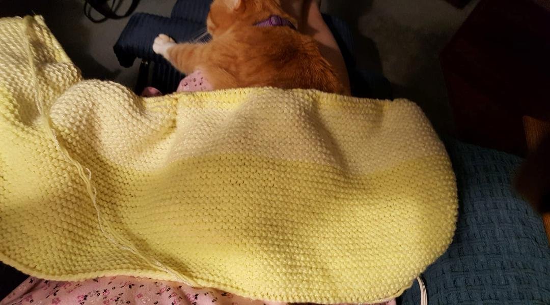Progress..sunshine!