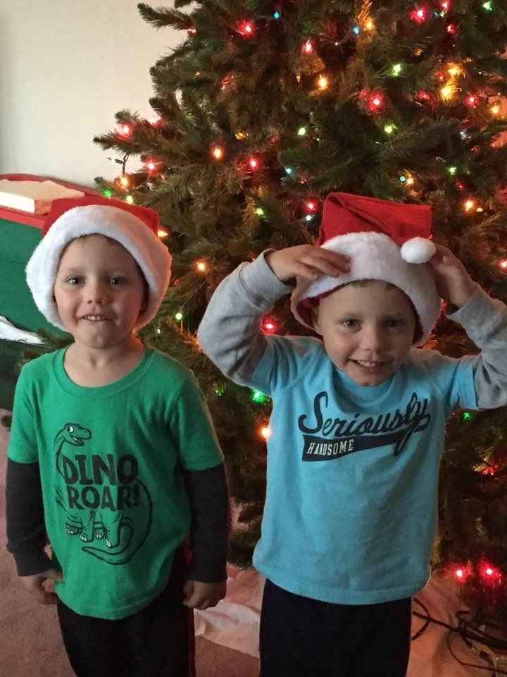 Getting ready to decorate the tree.