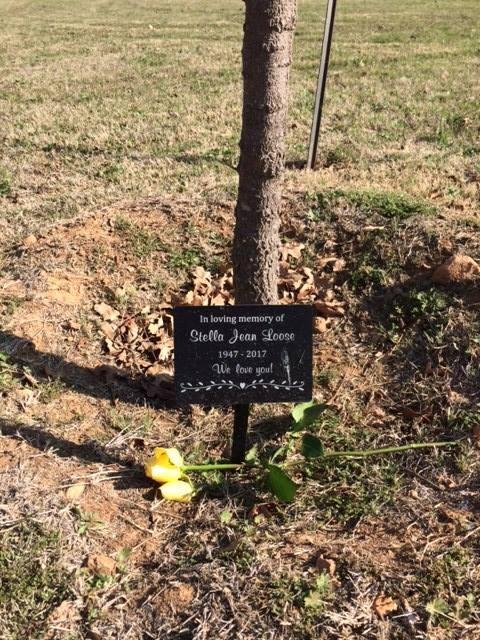 John Loose's album, Timeline Photos