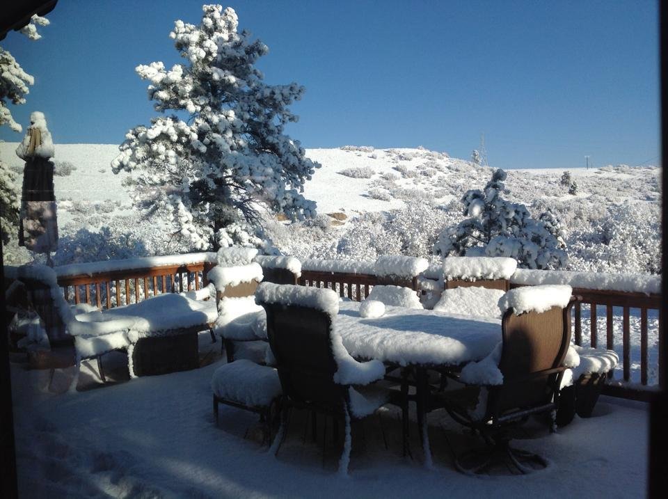 A surprise in my back yard this morning.