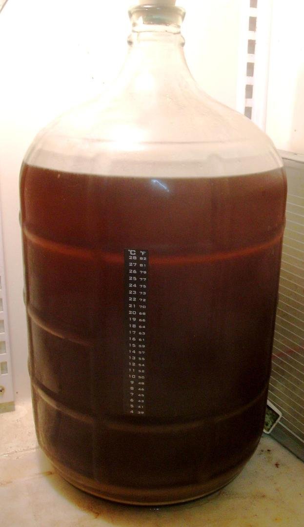 For Kim:  Every time I open the refrigerator here at the store I am greeted by this; nearly five gallons of Oktoberfest, just lagering away.  Clearing.  Mellowing.  Taking it's time at 34 degrees.  48 straight days.  This i