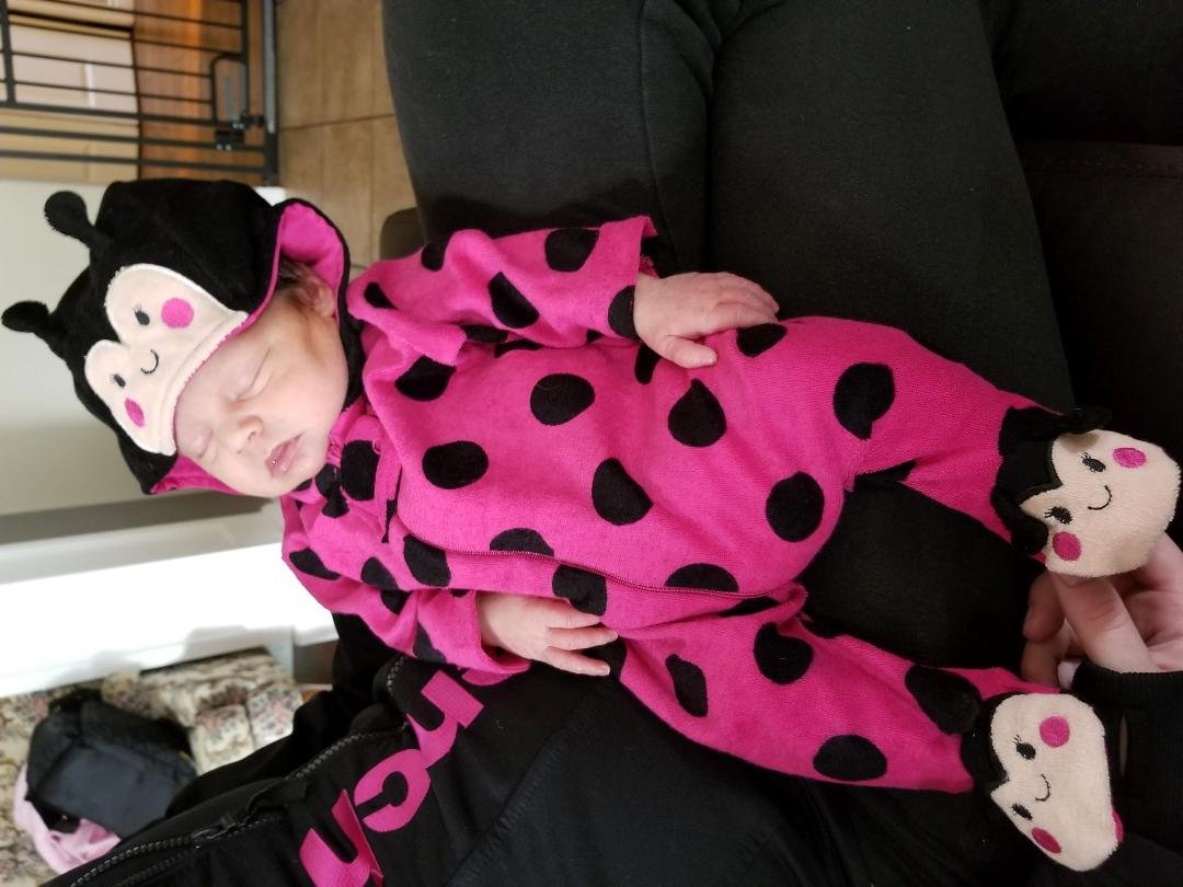 Magnificence in a small package! A lady bug package!
