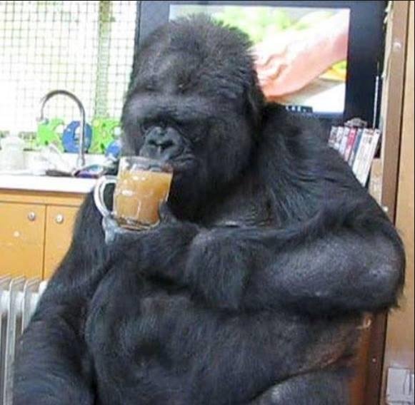 That is one classy lady. Goodbye Koko, sweet dreams.