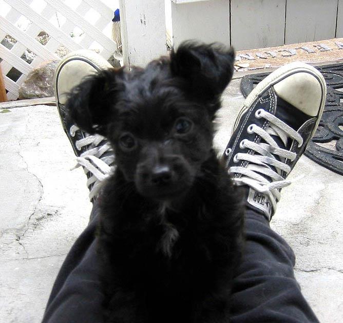 Just realized I don't have any pics of my little boy on here. Gotta add since he's now in my profile pic :) Here's a baby photo...