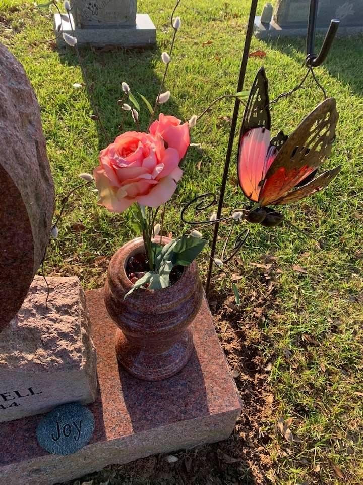 Brenda Spicer's album, Timeline Photos