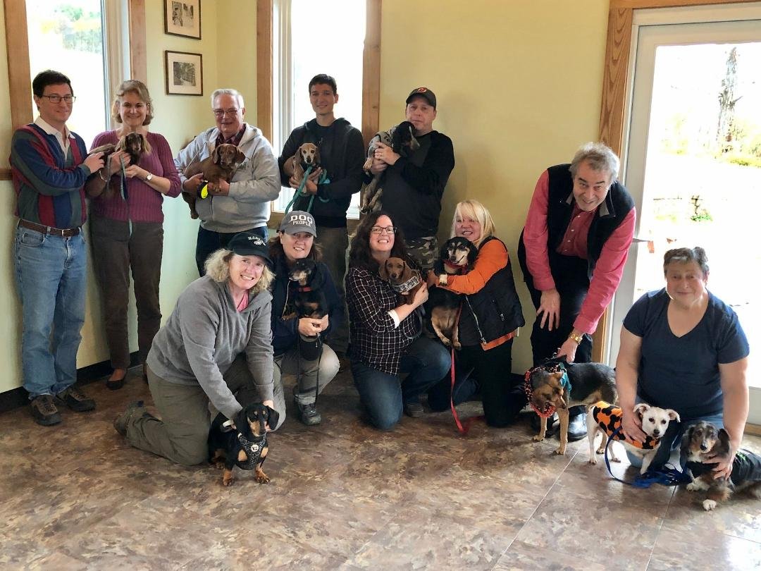 Another fun Dachshund meetup! At Hopshire Farm & Brewery.
