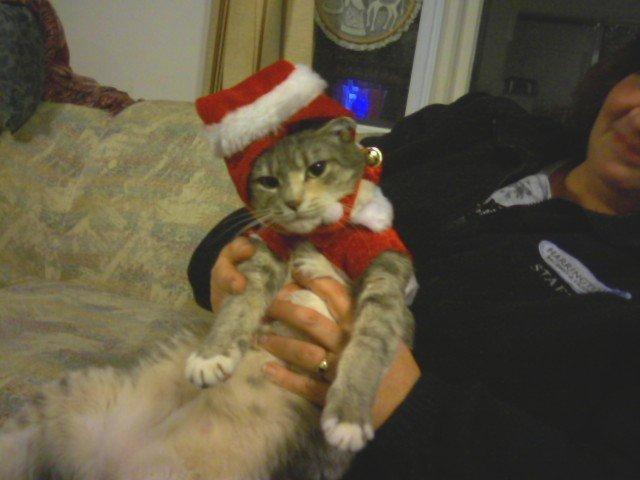 Missy saying please not again