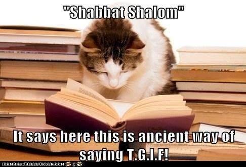 Marc Cohen's album, Timeline Photos