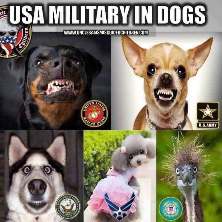 Robert Macdonald's album, Timeline Photos