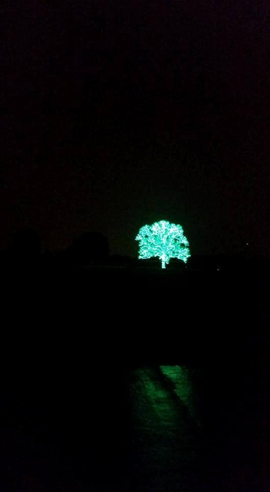 Thank you for doing this each year. I have no idea who the folks are but its wonderful. This tree stands all alone in a field outside of Flower Mound.