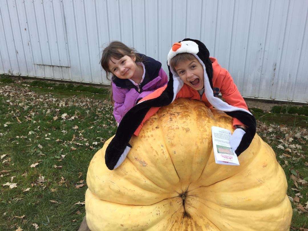 I just wonder who is going to carry this pumpkin to the car... And will it fit in the trunk.... Time to call G-Pa and get his truck and strong back.....
