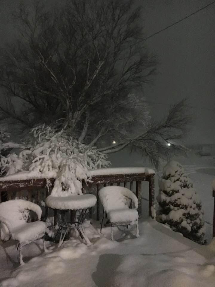 Chris Carroll's album, Timeline Photos