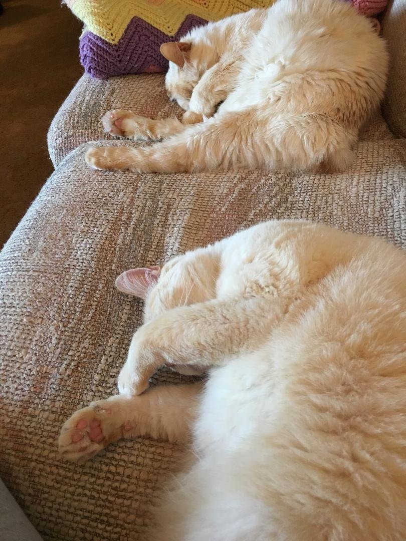 Mom, turn the light off . It is hurting our eyes!