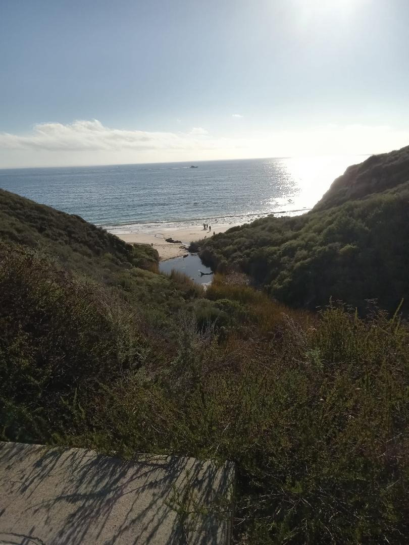 ...a long beautiful walk.