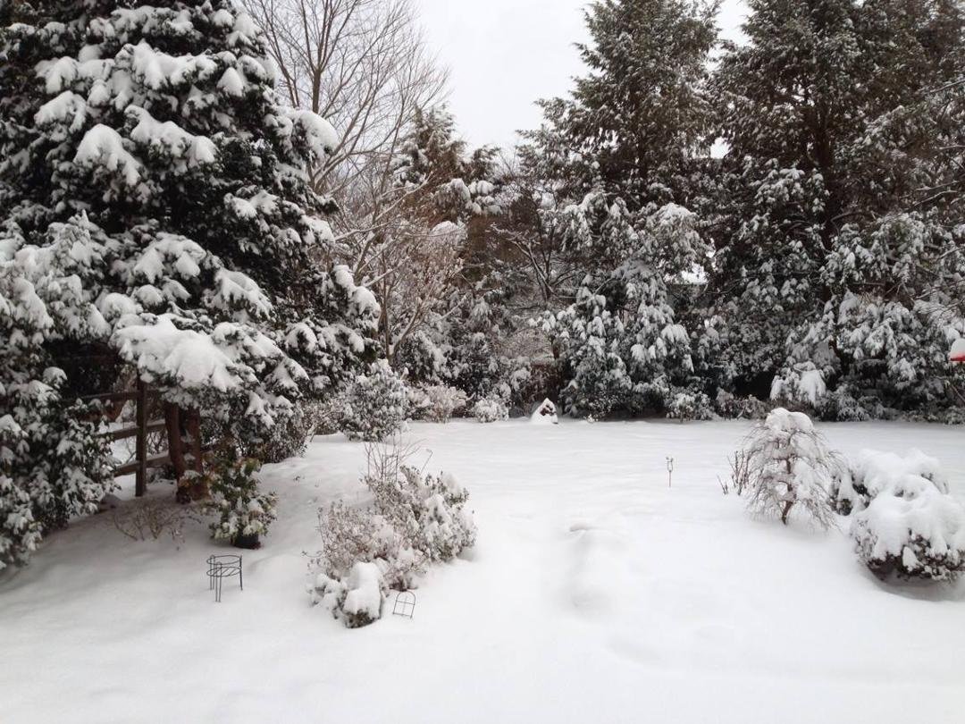 From our kitchen window, 8 AM Snopatrick's Day ...