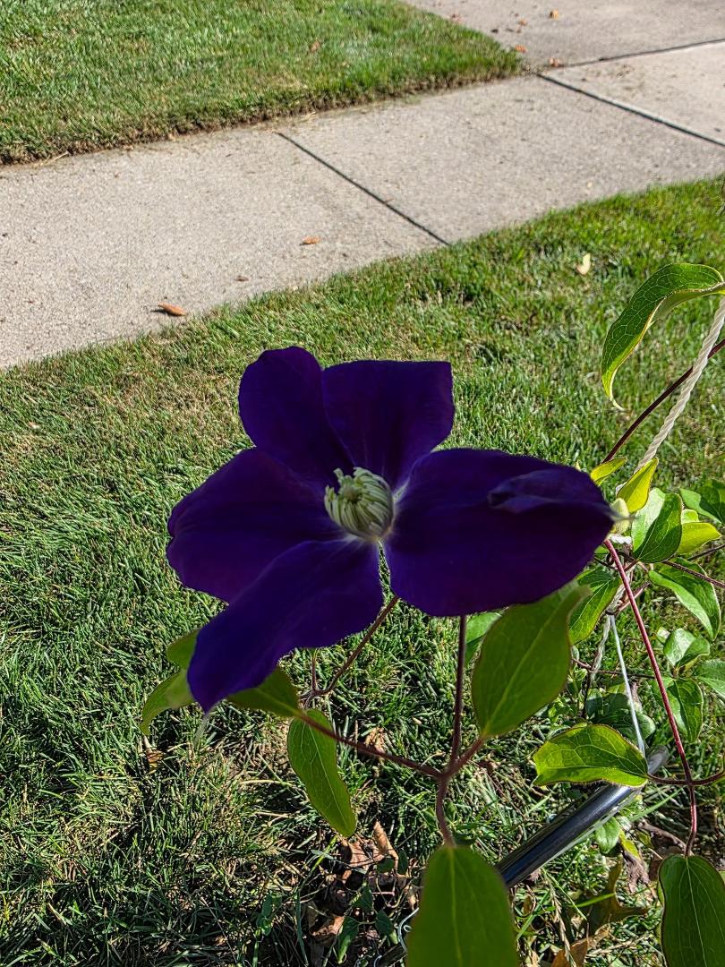 Larry Bobb's album, Timeline photos