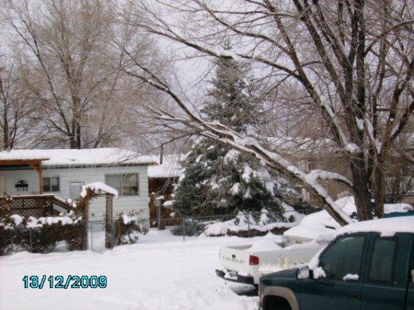 William Arthur Cook's album, Bill and Judy / Snow Carson City 12/2009