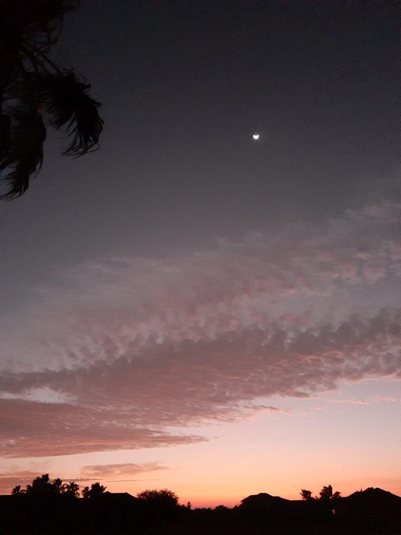 Another beautiful morning in paradise. God is great and greatly tobe praised.