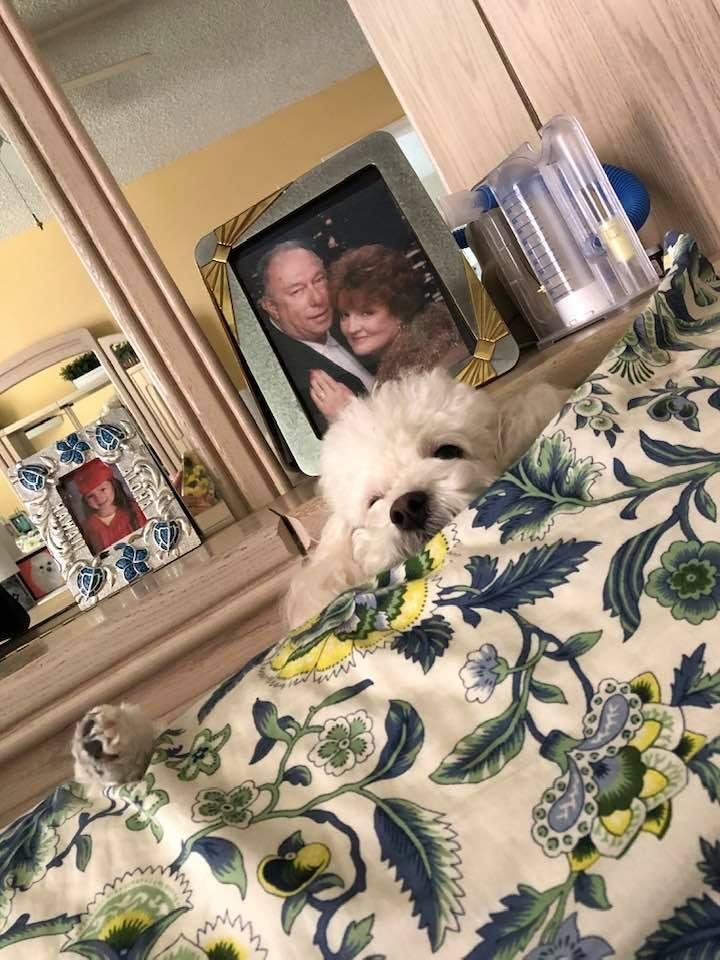 Family photo
