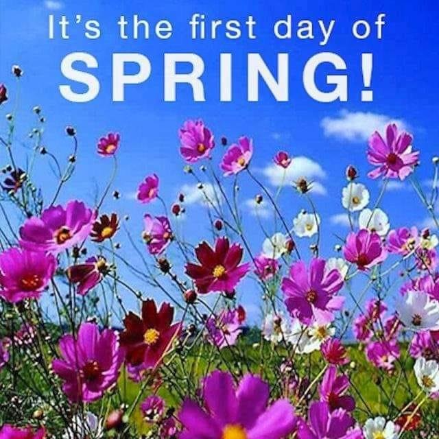 Spring has sprang.