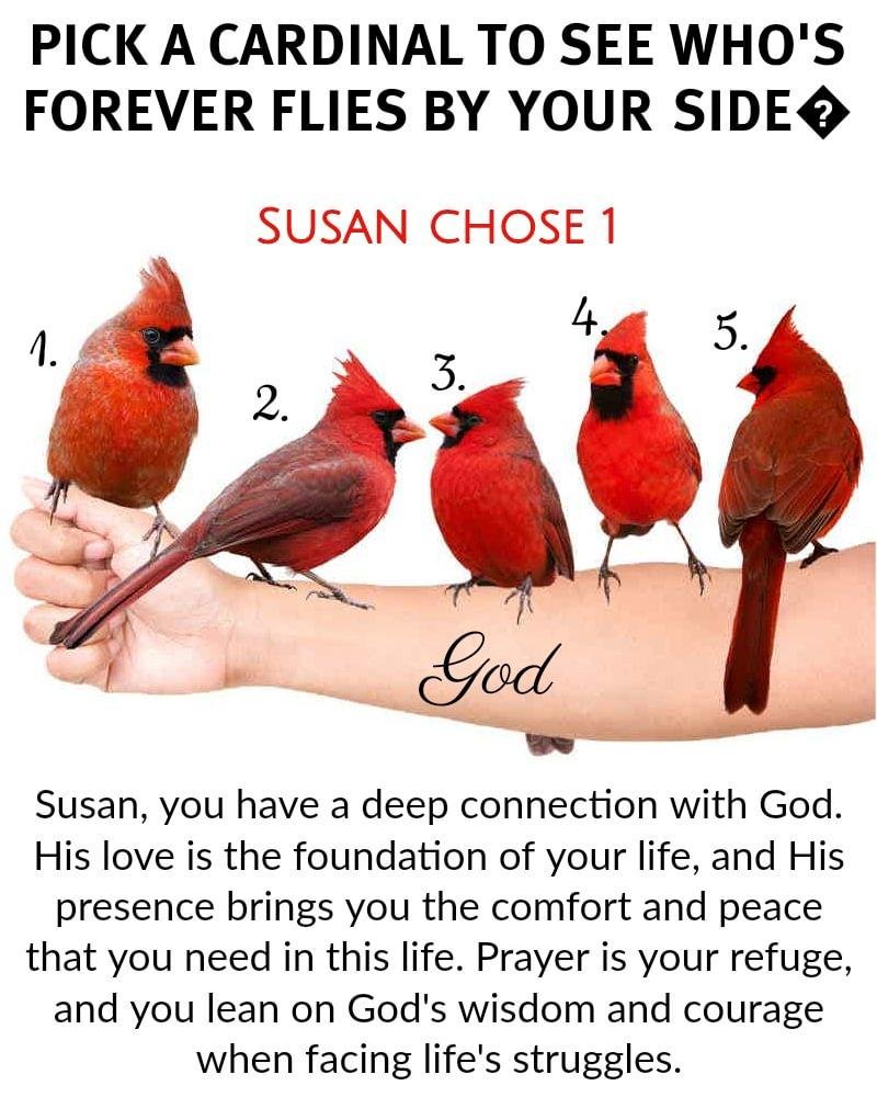 Susan Jenkins' album, Timeline photos