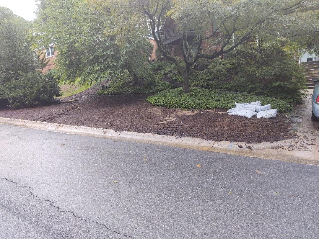 Big rainfall causes channel forming flows and sediment seeps through the area where I just removed the grass and mulched. Our yard is one big h and h lab.