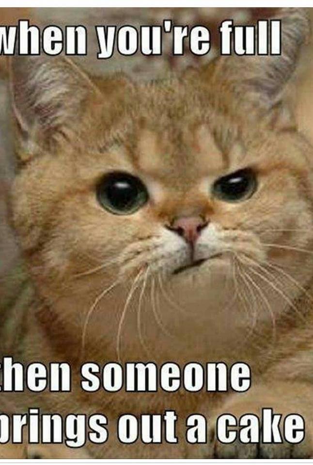 Know the feeling LOL