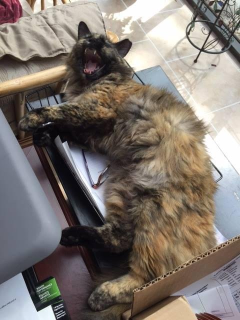 barbara mac intyre weller's album, Timeline Photos