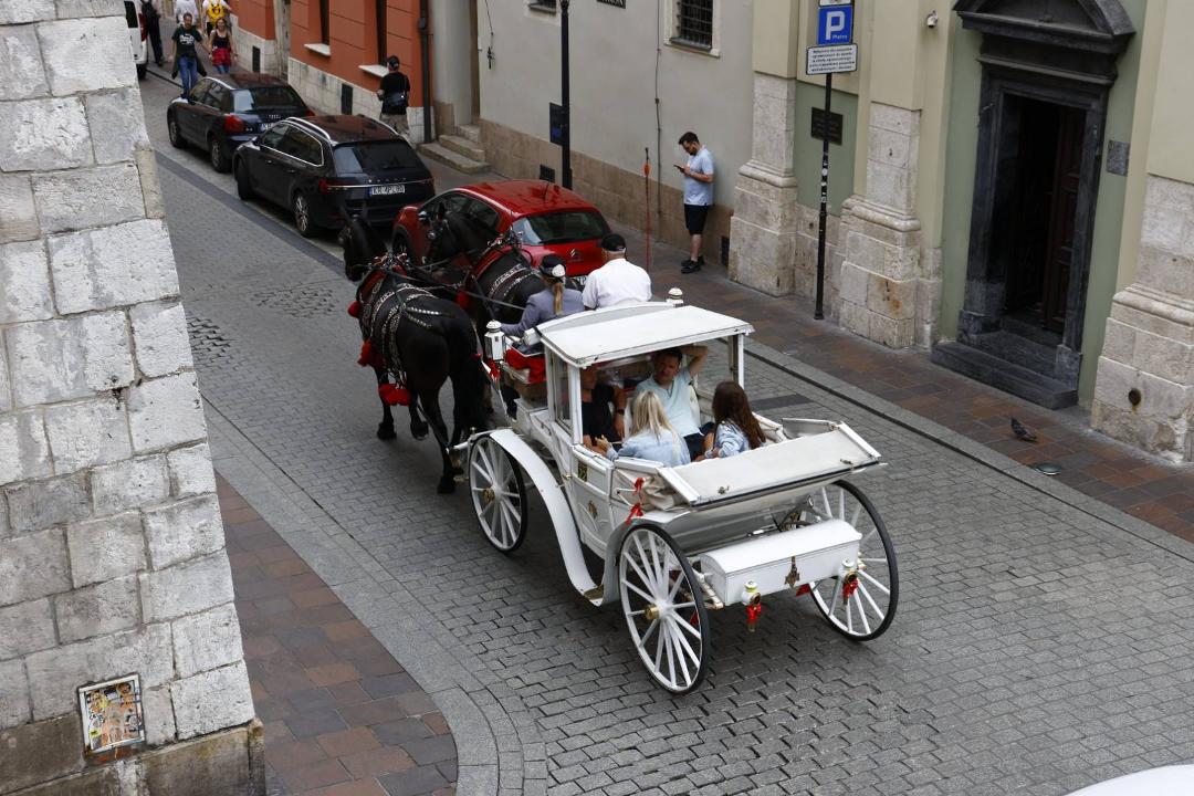 Horse and carriage outside our apartment window. We are staying on one of the tour routes.