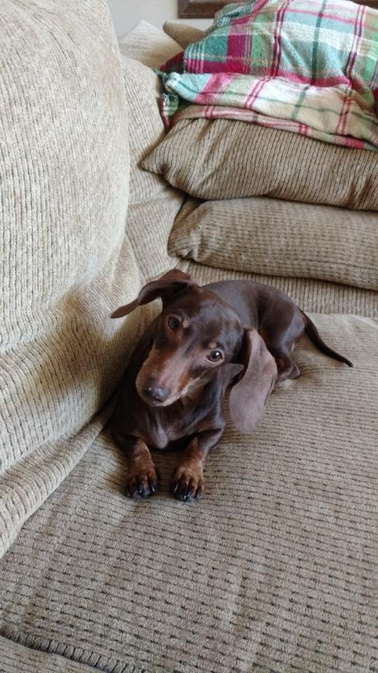 Happy National Dog Day from Reinaldo
