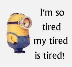 William Mitchell's album, Timeline Photos