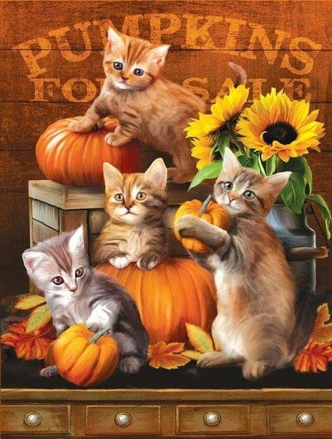 Wishing everyone a Safe, Happy, and Blessed Thanksgiving