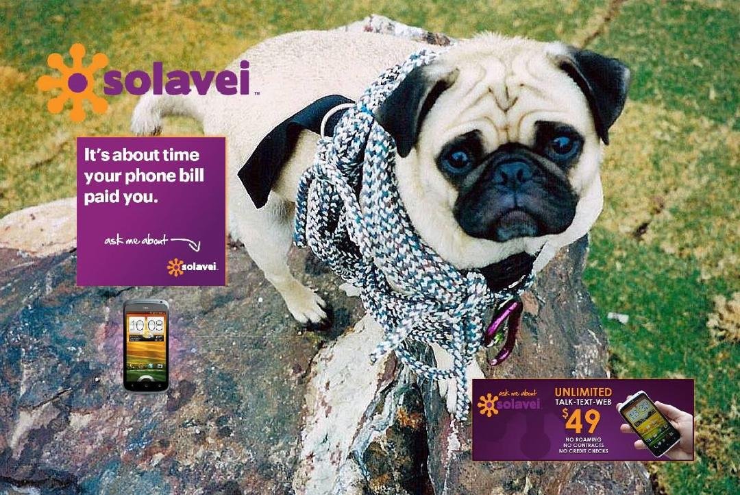 FREE 6-Month Fundraiser Hosting
Vinny the Pug’s “Team Solavei” Hosts Free 6-Month Fundraisers for
organizations whose supporters buy at Vinny the Pug’s Store. They keep 80% of profits from their supporter’s purchases.