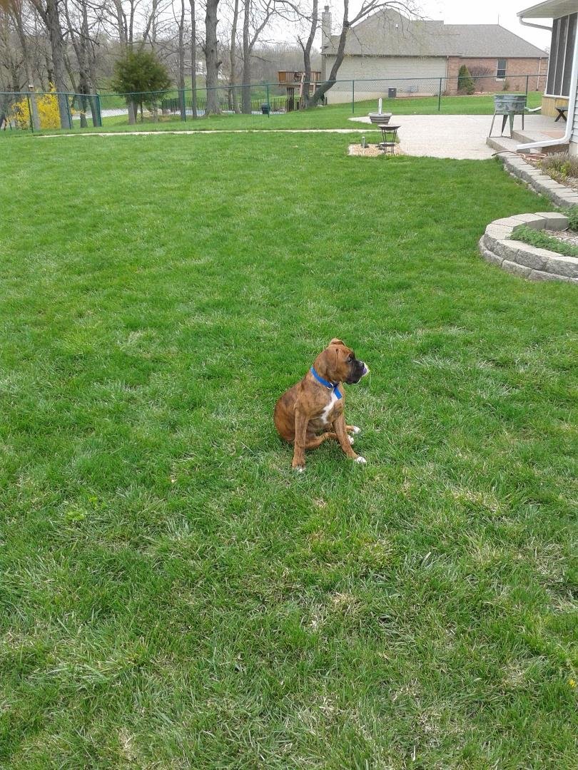 My ball!!