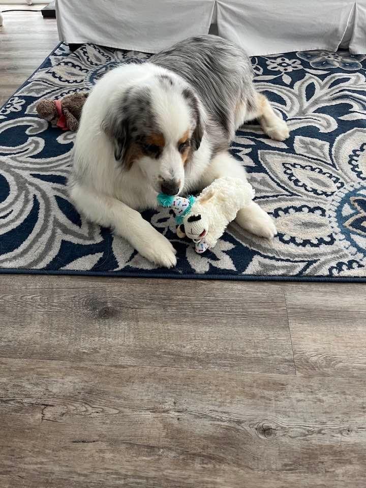 Thank you Auntie Charlene for my toy!!