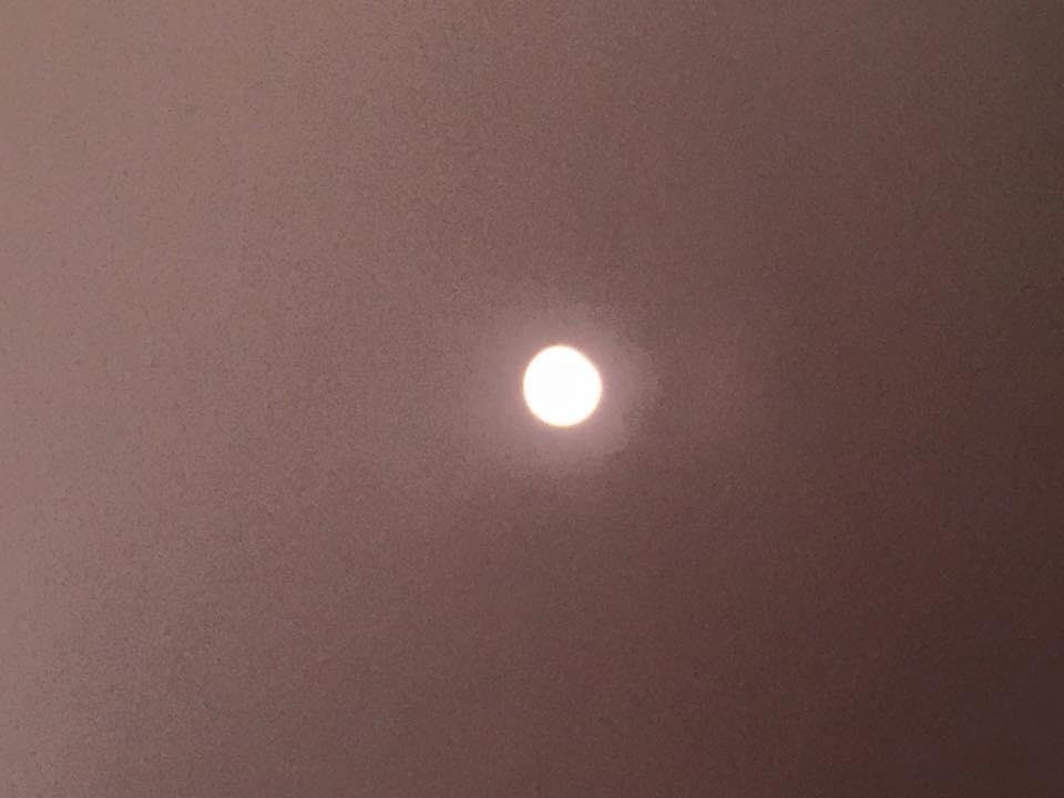 Sandy Ort's album, Mobile Uploads