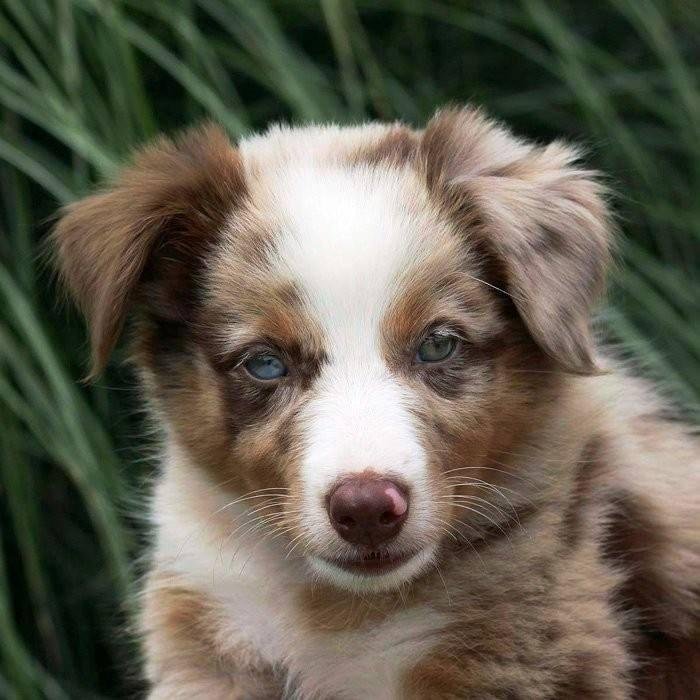 Derrall Brown's album, Timeline Photos