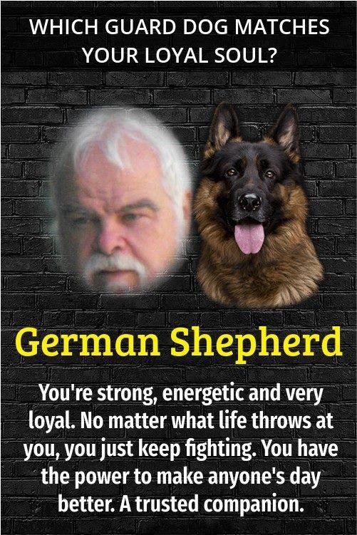John Groves' album, Timeline Photos
