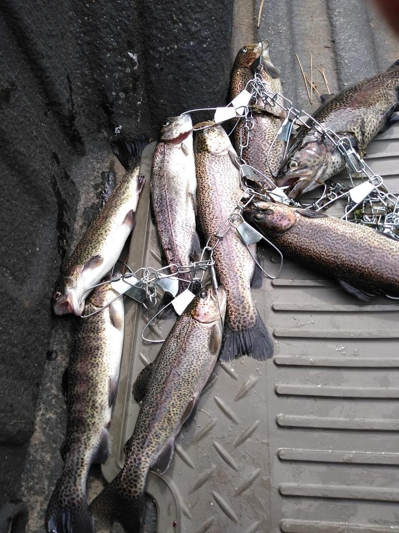 Another good day fishing.