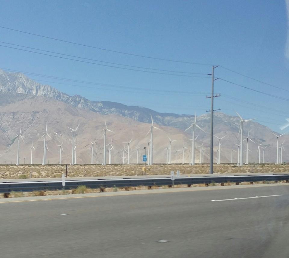 The windmills