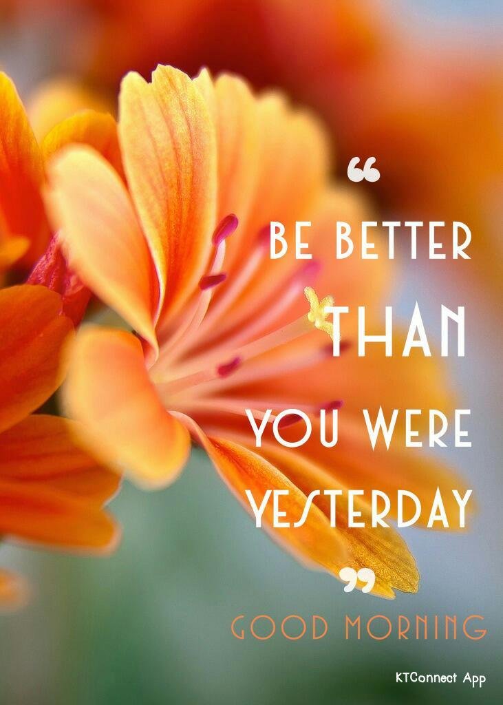 Angel Ellis/madison's album, Timeline Photos
