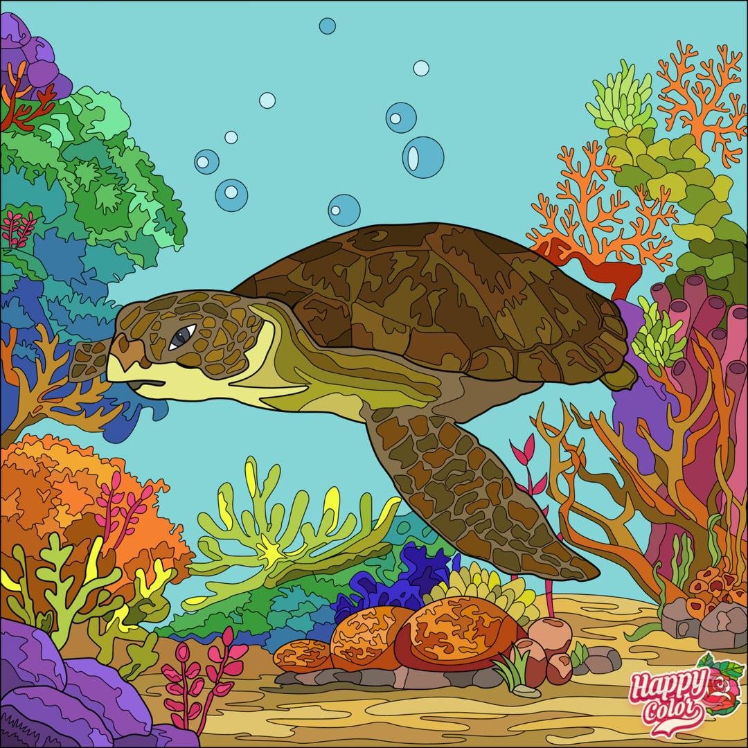 In honor of Sammie's sponsored turtle Bubble Butt. The sponsorship was given as a gift to her. Wont be allowed to be free again, however, he is doing well with other injured turtles.