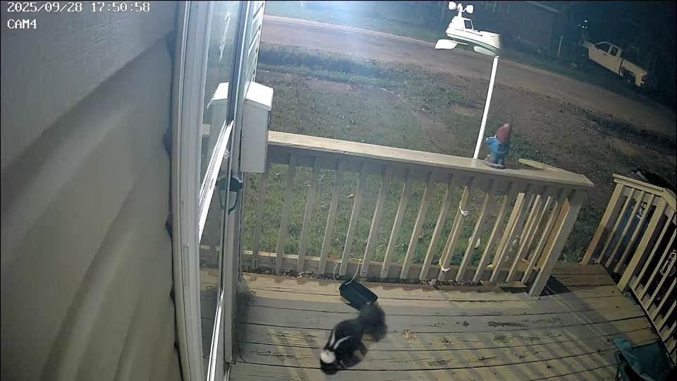 My visitor last night
