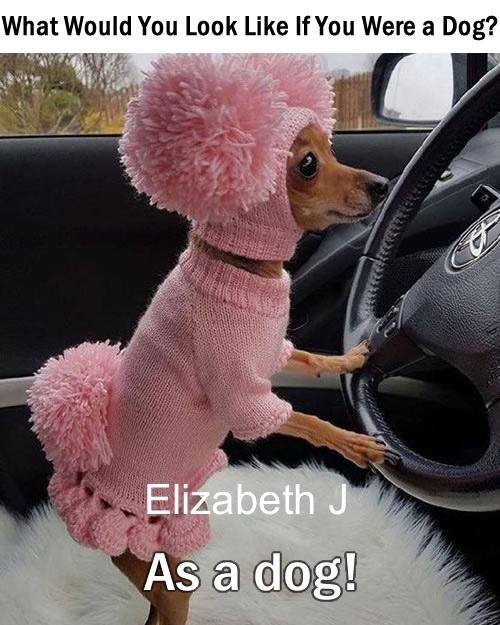WHAT? NOOOOO! �����