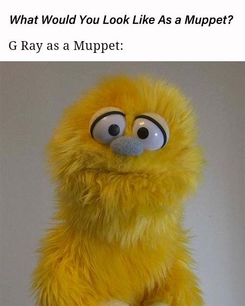 Gary Hopper's album, Timeline photos