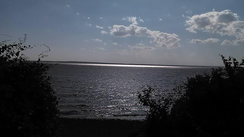 A little slice of sunshine on the water. My 1st real ride since being hit last Oct....