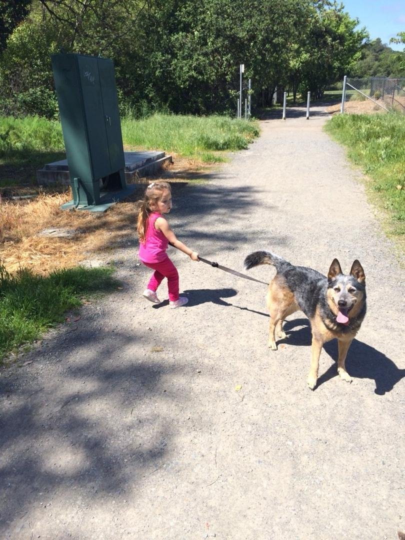 Jon Holmberg's album, iOS Photos
